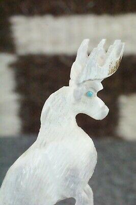 Deer Zuni Fetish Carving - Jerrold Lahaleon - High Lonesome Trading
