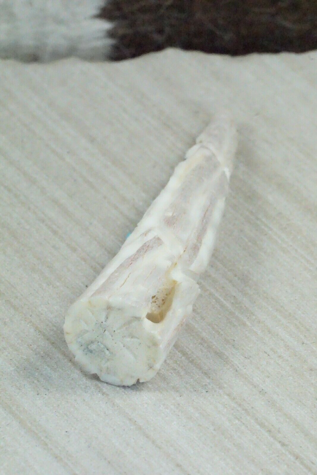 Corn Maiden Zuni Fetish Carving - Jerrold Lahaleon