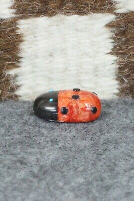 Lady Bug Zuni Fetish Carving - Reynold Lunasee