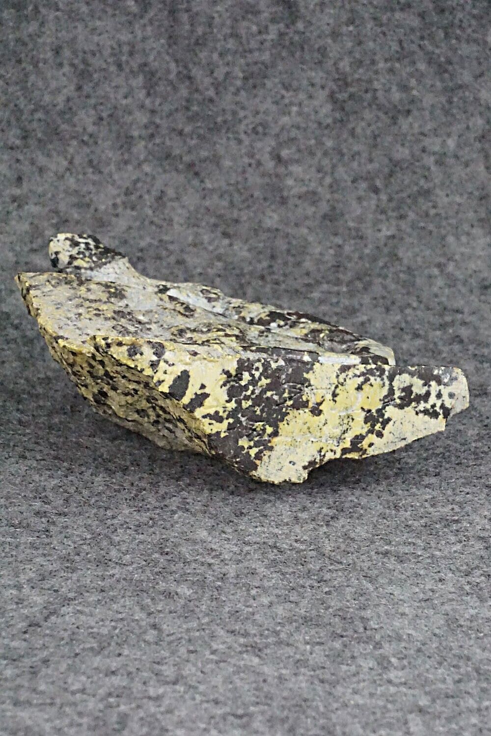 Iguana Zuni Fetish Carving - Colin Weeka