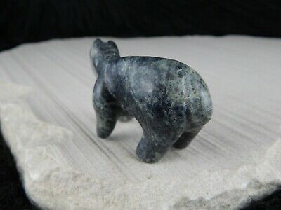 Bear Zuni Fetish Carving - Calvin Weeka - High Lonesome Trading