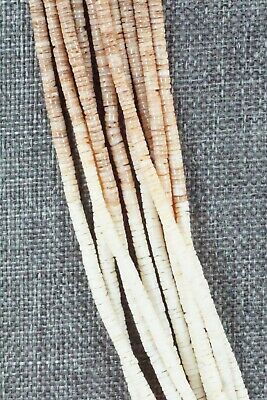 Shell & Sterling Silver Necklace - Ramona Bird