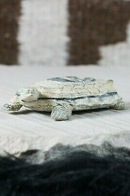 Turtle Zuni Fetish Carving - Herbert Him - High Lonesome Trading
