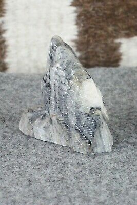 Owl Zuni Fetish Carving - Derrick Kaamasee