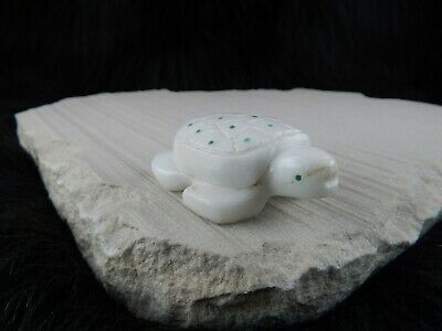 Turtle Zuni Fetish Carving - Brian J Yunie - High Lonesome Trading