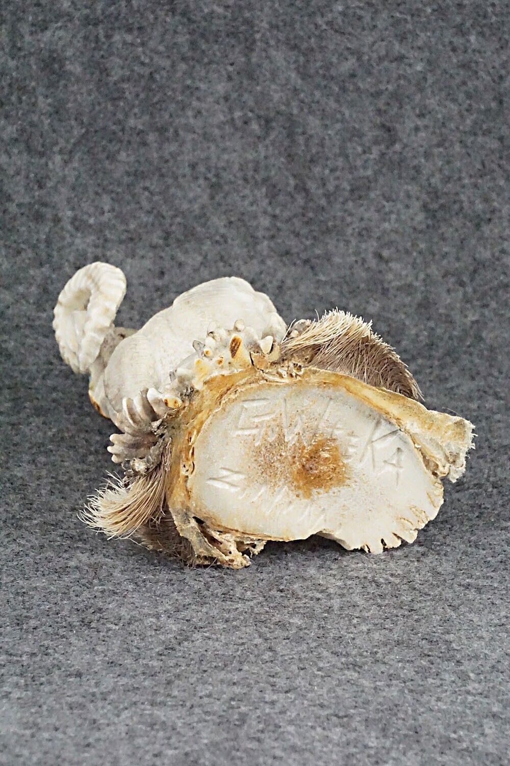 Ram Zuni Fetish Carving - Garrick Weeka