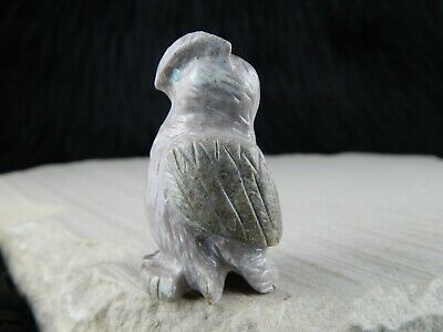 Owl - Zuni Fetish - Allison White - Zuni Owl Carving - Native American - High Lonesome Trading