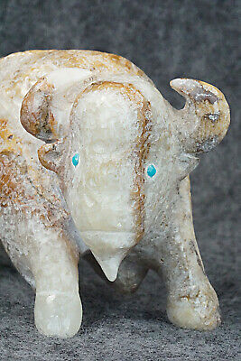 Buffalo Zuni Fetish Carving - Isiah Chopito