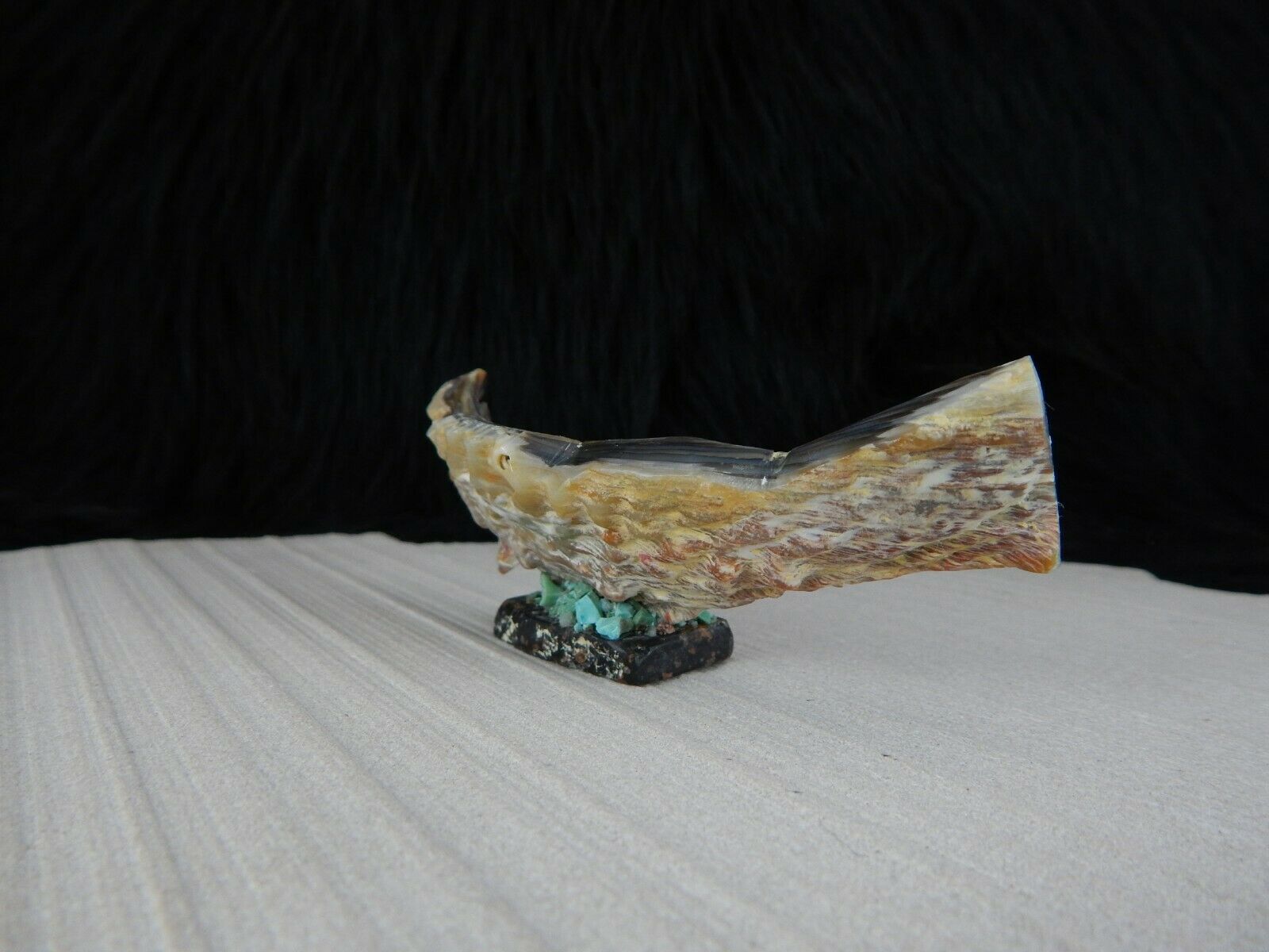 Fish Zuni Fetish Carving - Bernard Laiwakete - High Lonesome Trading
