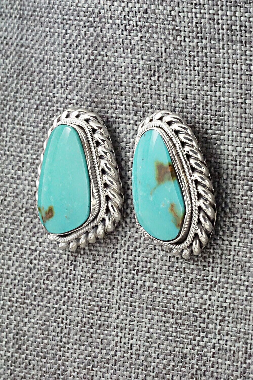 Turquoise and Sterling Silver Earrings - Sharon McCarthy