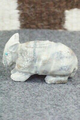 Armadillo Zuni Fetish Carving - Derrick Kaamasee - High Lonesome Trading