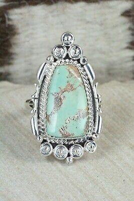 Turquoise & Sterling Silver Ring - Daniel Benally - Size 9 - High Lonesome Trading
