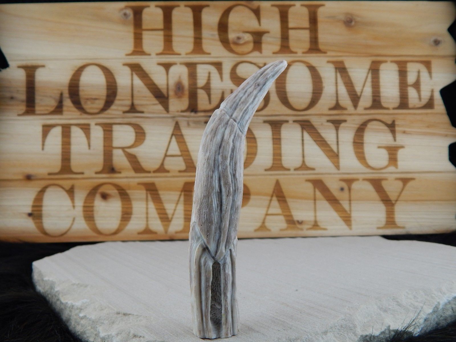 Corn Maiden Zuni Fetish Carving - Jerrold Lahaleon - High Lonesome Trading