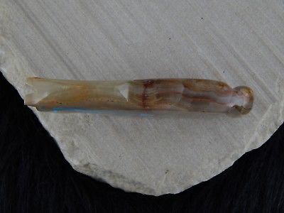 Horse Zuni Fetish Carving - Bernard Laiwakete - High Lonesome Trading