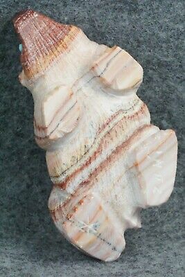 Badger Zuni Fetish Carving - Derrick Kaamasee