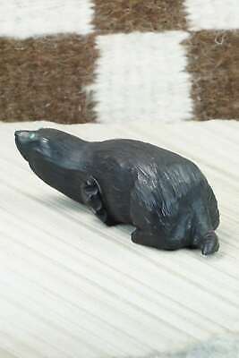 Mole Zuni Fetish Carving - Derrick Kaamasee