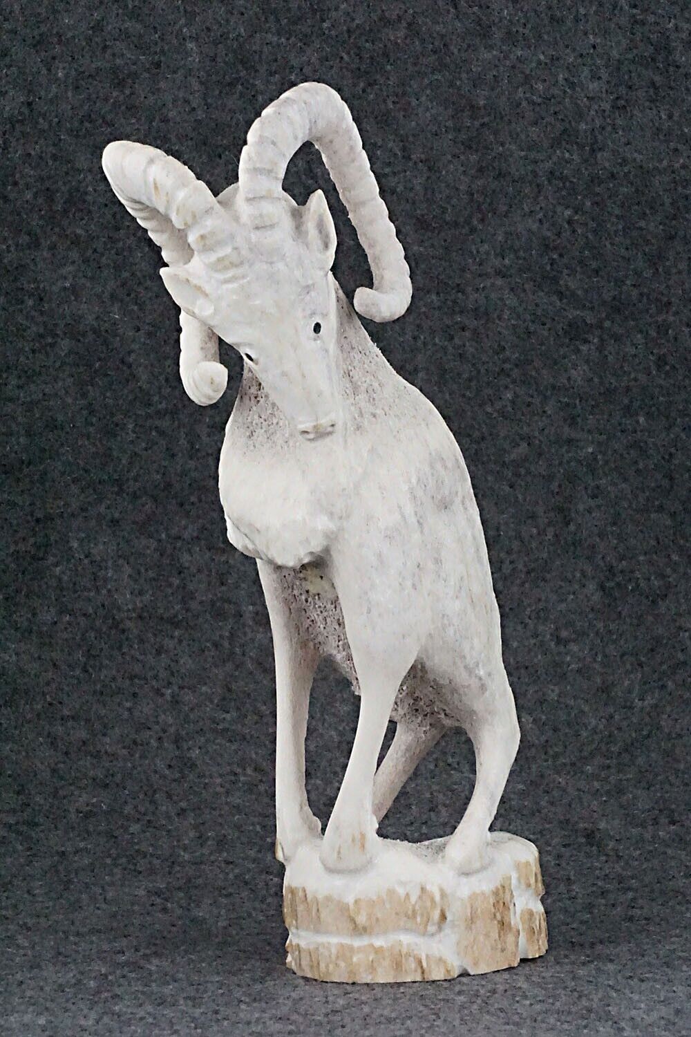 Ram Zuni Fetish Carving - Maxx Laate