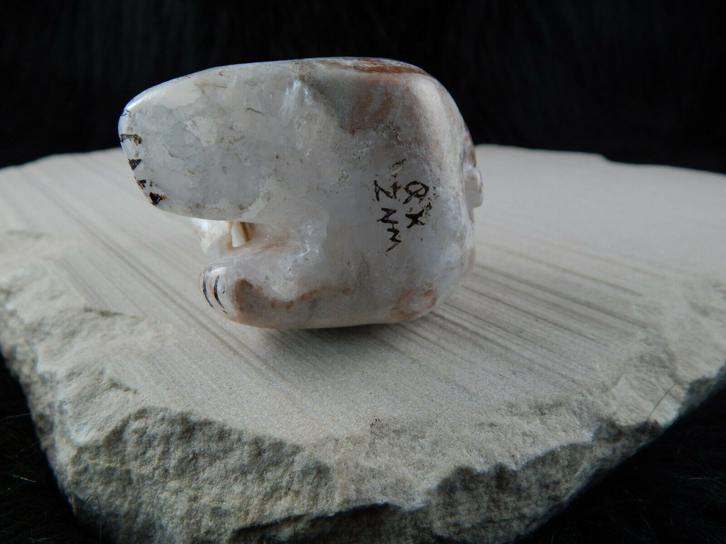 Bear Zuni Fetish Carving - Kallestewa - High Lonesome Trading