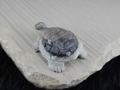 Turtle Zuni Fetish Carving - Darrell Westika - High Lonesome Trading