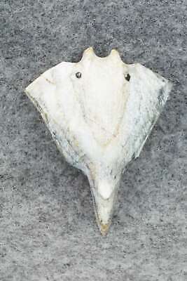 Stingray Zuni Fetish Carving - Derrick Kaamasee