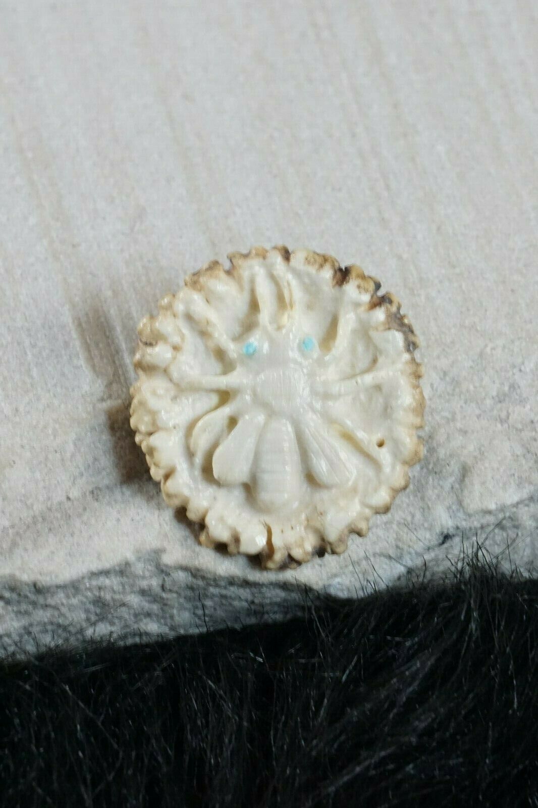 Bug Zuni Fetish Carving - Maxx Laate - High Lonesome Trading