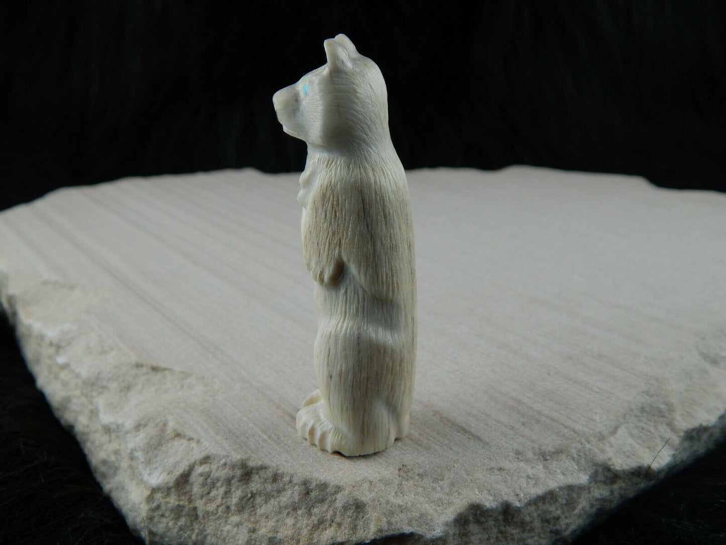 Bear Zuni Fetish Carving - Maxx Laate - High Lonesome Trading