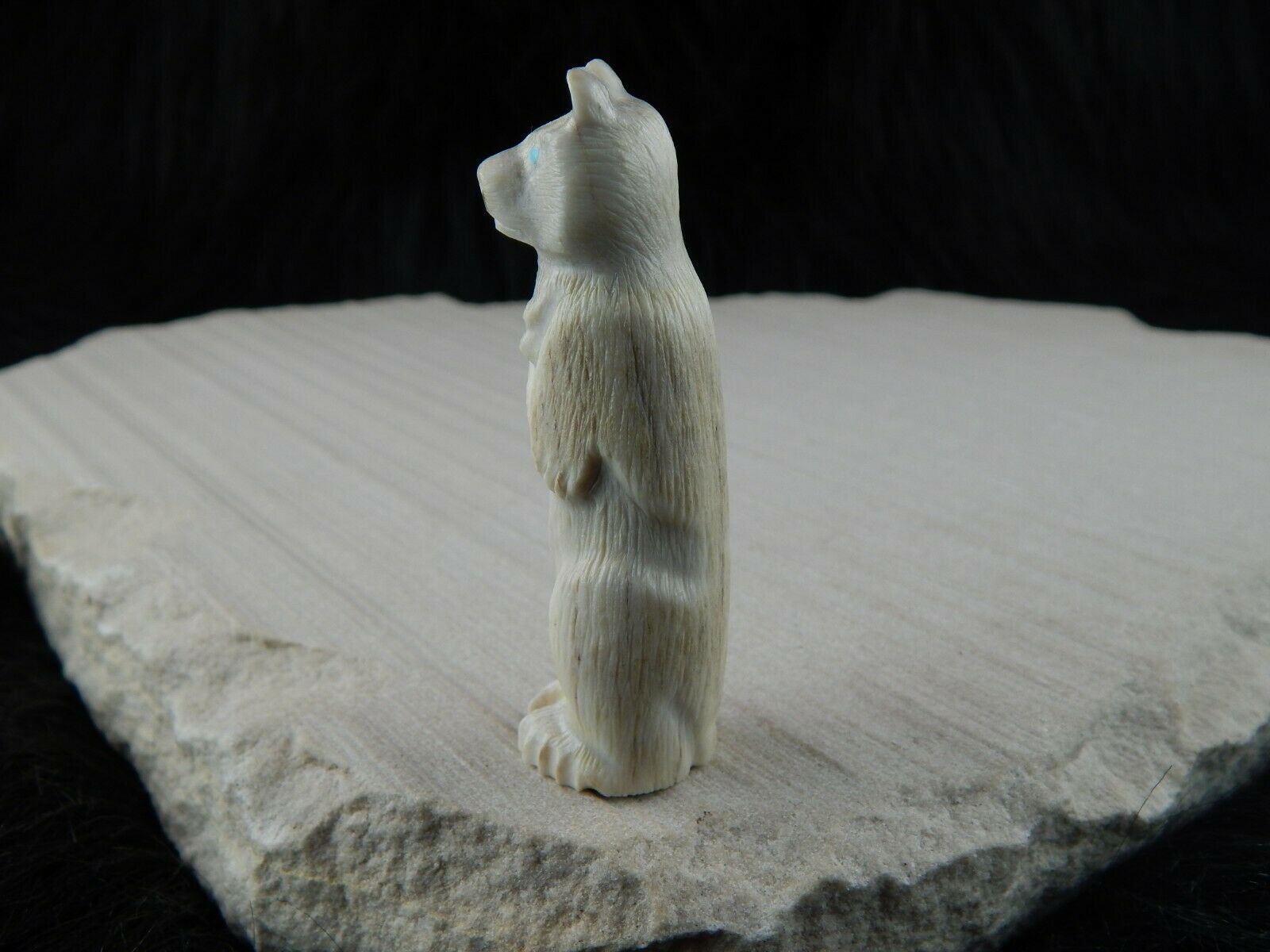 Bear Zuni Fetish Carving - Maxx Laate - High Lonesome Trading