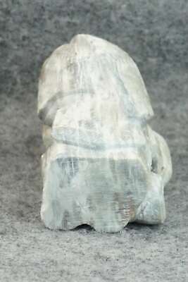 Wood Pecker Zuni Fetish Carving - Derrick Kaamasee