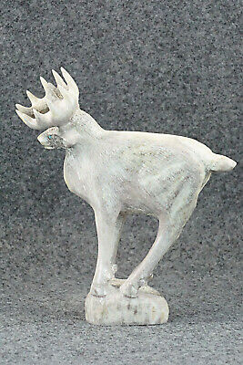 Deer Zuni Fetish Carving - Maxx Laate