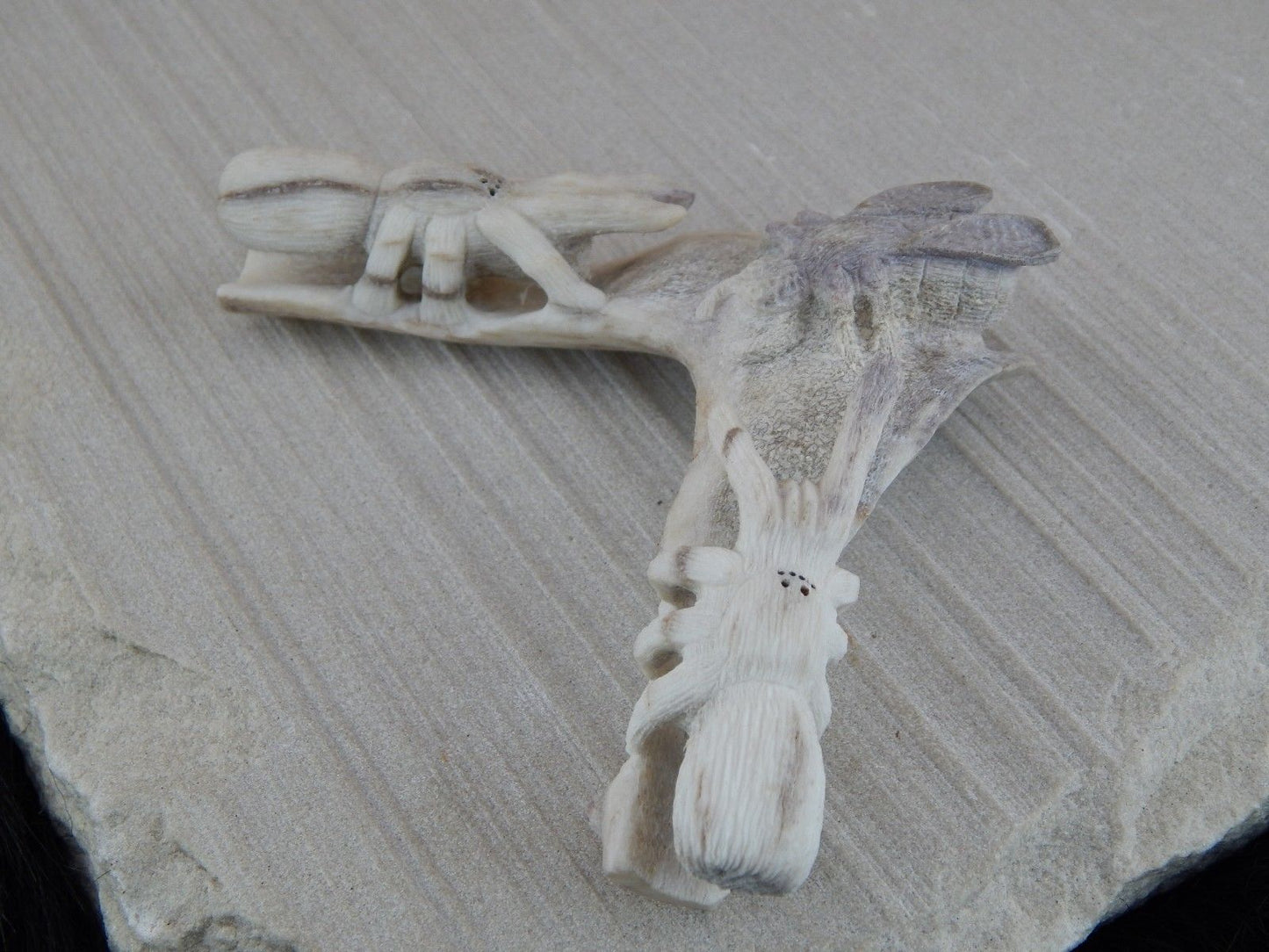 Spider & Bug Zuni Fetish Carving - Glenn Laate - High Lonesome Trading