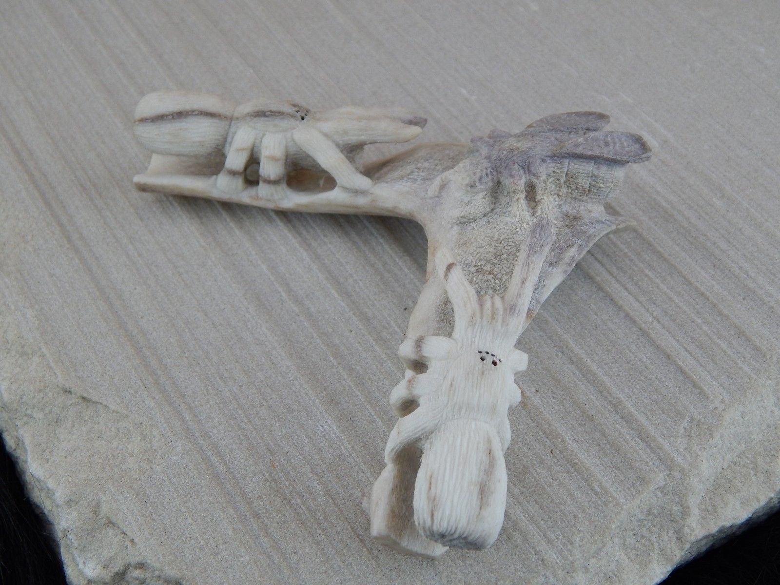Spider & Bug Zuni Fetish Carving - Glenn Laate - High Lonesome Trading