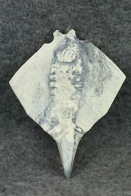 Stingray Zuni Fetish Carving - Derrick Kaamasee