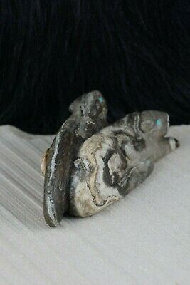 Mountain Lion Zuni Fetish Carving - Lance Cheama - High Lonesome Trading