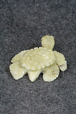 Turtle Zuni Fetish Carving - Ben Kamaasee