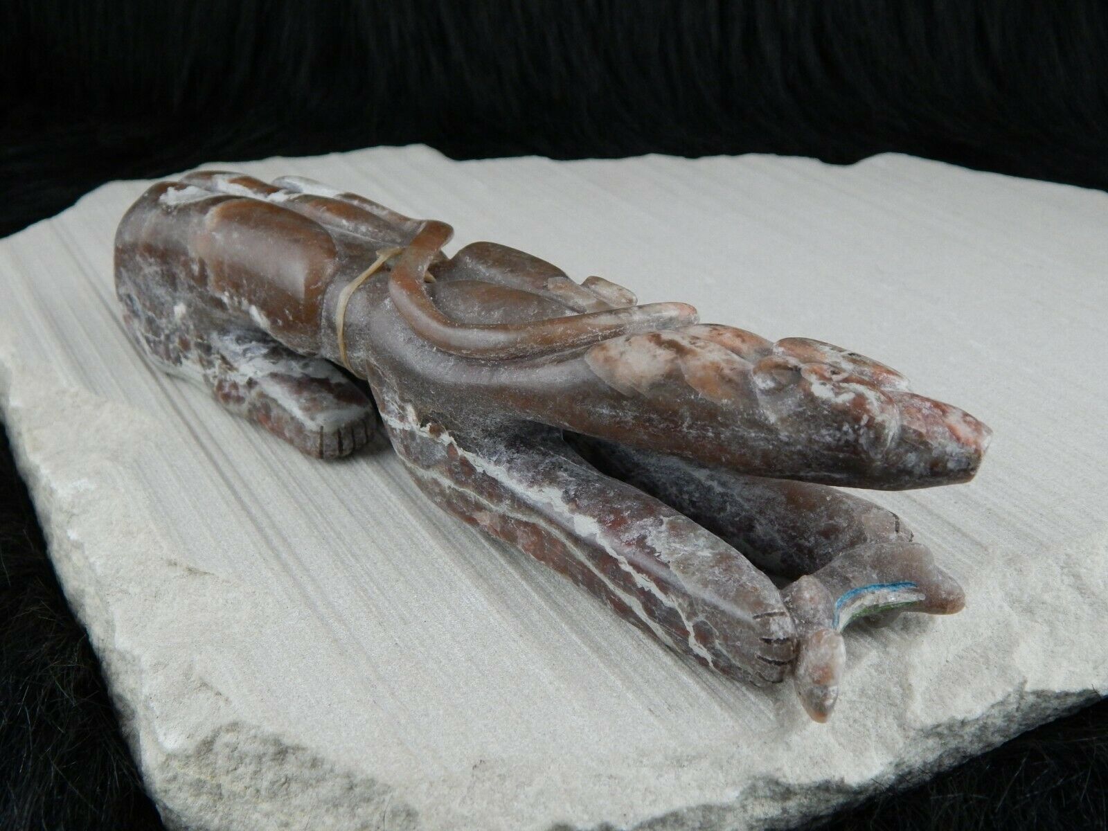 Bear Zuni Fetish Carving - Rick Kallestewa - High Lonesome Trading