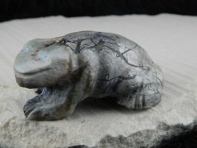 Frog Zuni Fetish Carving - Herbert Him Jr - High Lonesome Trading