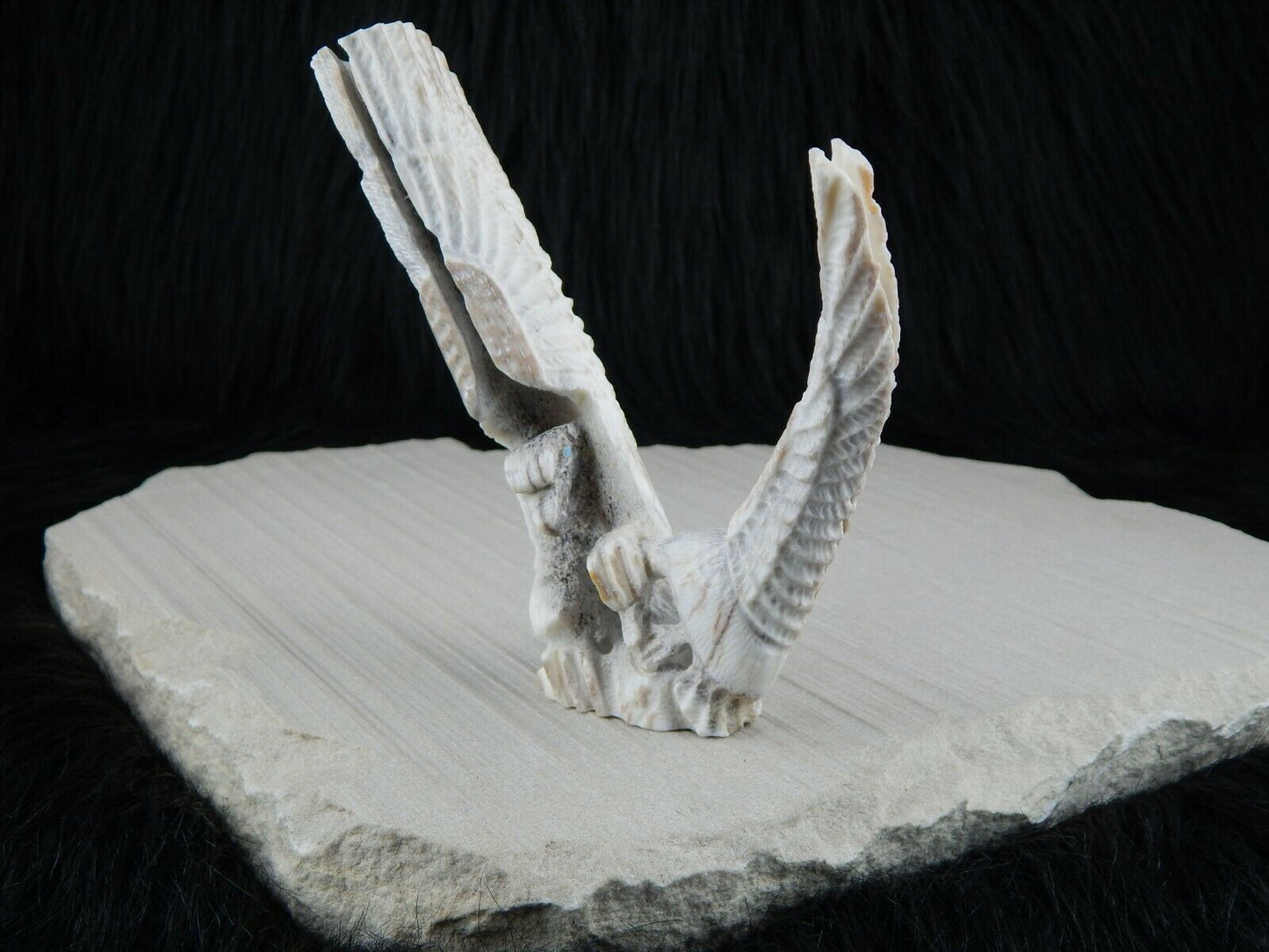 Eagle Zuni Fetish Carving - Jerrold Lahaleon - High Lonesome Trading