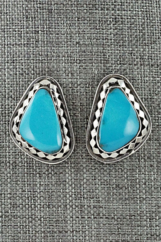 Turquoise and Sterling Silver Earrings - Sharon McCarthy