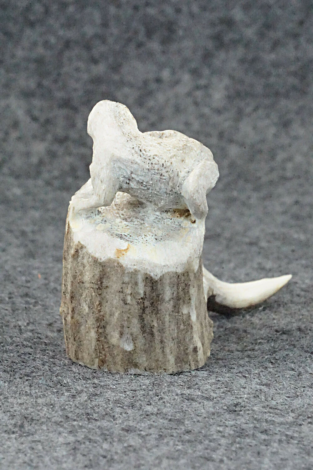 Iguana Zuni Fetish Carving - Lewis Malie Jr.