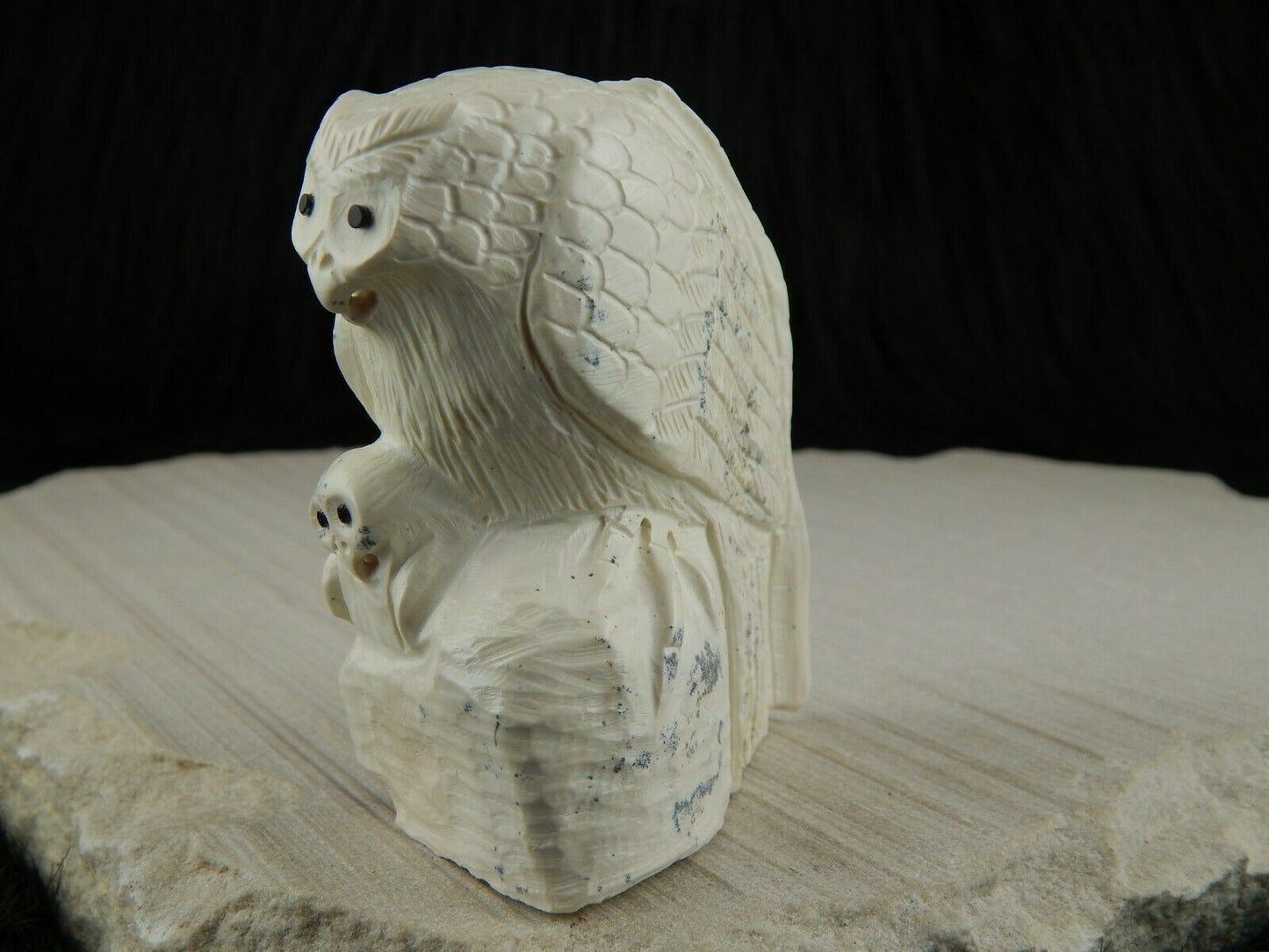 Owl Zuni Fetish Carving - Derrick Kaamasee - High Lonesome Trading