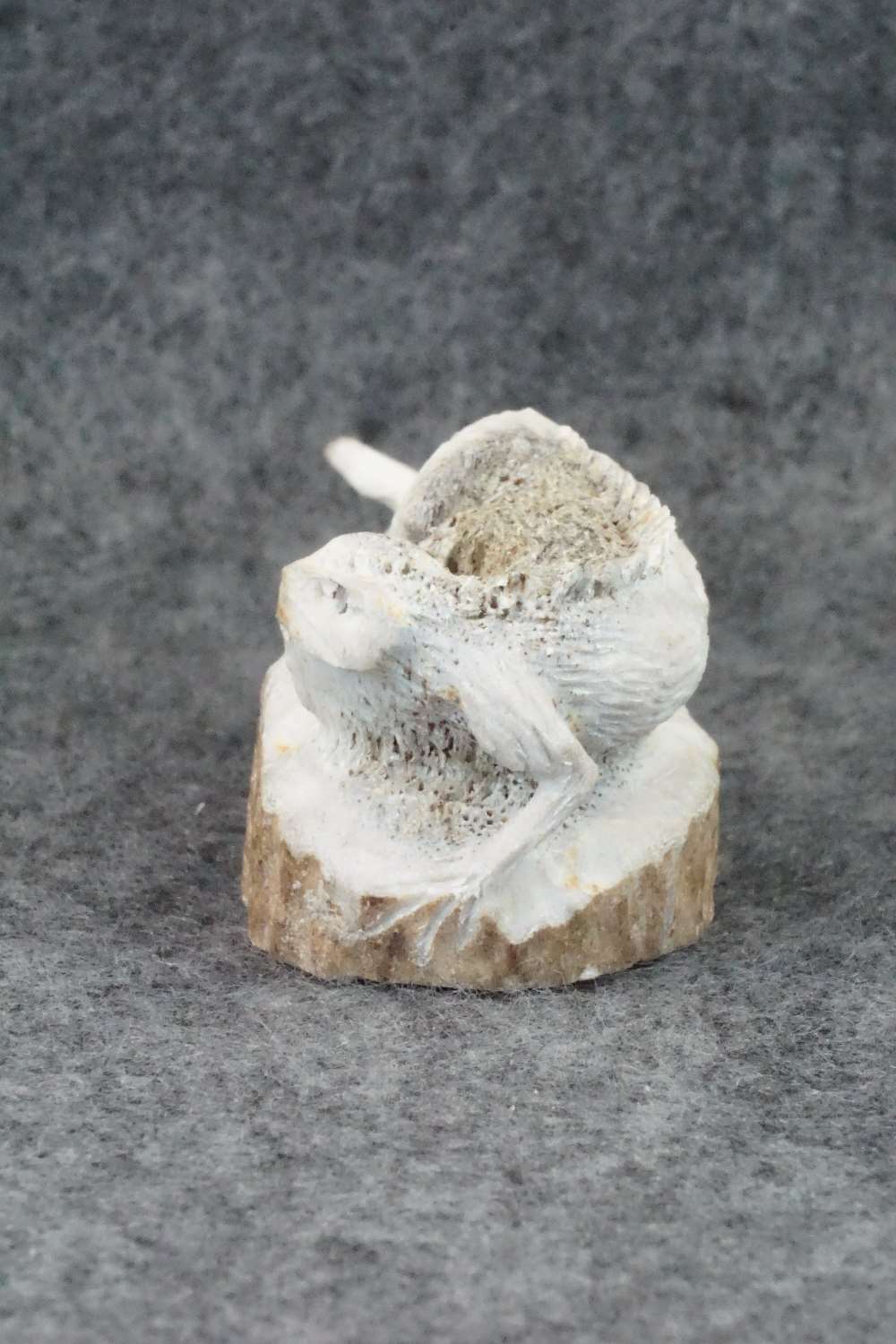 Iguana Zuni Fetish Carving - Lewis Malie Jr.