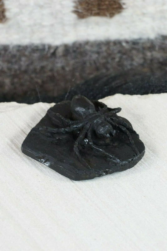 Spider Zuni Fetish Carving - Lewis Malie Jr - High Lonesome Trading