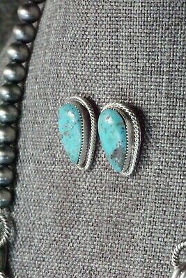 Turquoise & Sterling Silver Necklace and Earrings - Bobby Platero