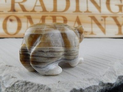 Bear Zuni Fetish Carving - Nelson Yatsattie - High Lonesome Trading