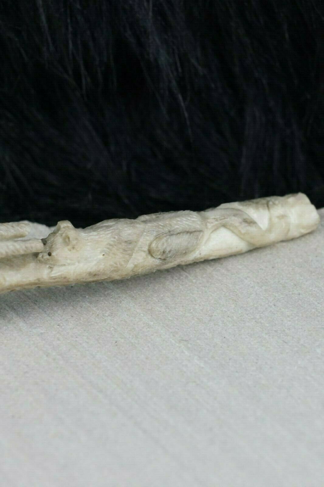 Mountain Lion & Spider Zuni Fetish Carving - Glenn Laate - High Lonesome Trading
