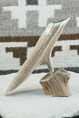 Bird Zuni Fetish Carving - Harvey Harker - High Lonesome Trading