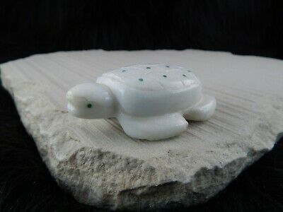 Turtle Zuni Fetish Carving - Brian J Yunie - High Lonesome Trading