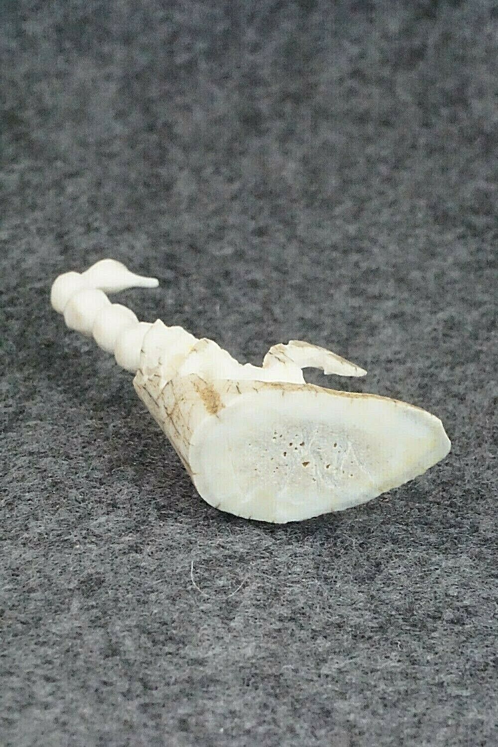 Scorpion Zuni Fetish Carving - Lewis Malie Jr.