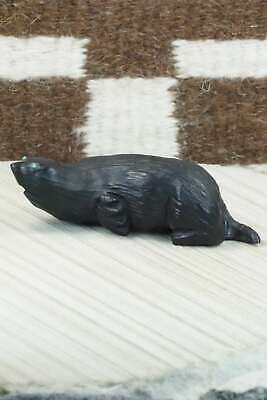 Mole Zuni Fetish Carving - Derrick Kaamasee