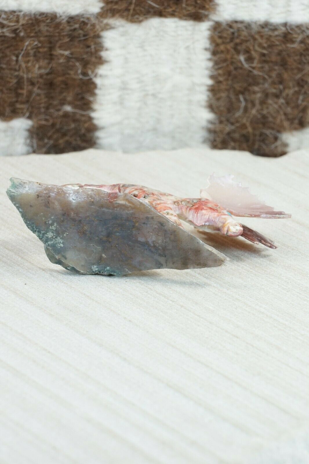 Spiny Oyster Moose Zuni Fetish Carving - Jonas Hastito